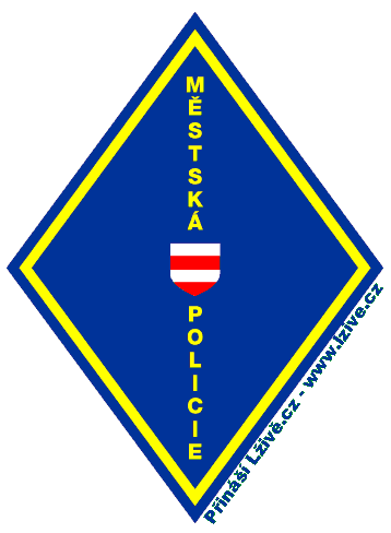 Městská polucije